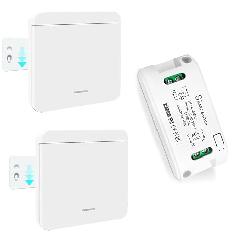 Wireless Light Switch Kit, Tedeligo With Independent base wall switch, Easy to Install, AC220V 230V 240V 2200W Receiver 330ft Long Range Reomte ON OFF for AC appliances