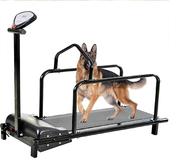Dog Treadmill for Small&Medium Dogs, Indoor Pet Running Machine Slat Mill to Keep Dogs Active & Fit,Multiple Modes and 15 Adjustable Speed Levels,Low-Noise Design, Remote Control