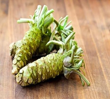 100pieces Green Wasabi Vegetable Seeds