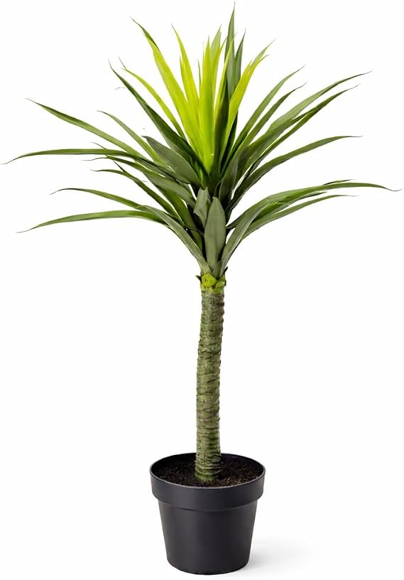 Leaf LEAF-7010 90cm (3ft) Large Artificial Spiky Tree Plant Realistic, Yukka Green