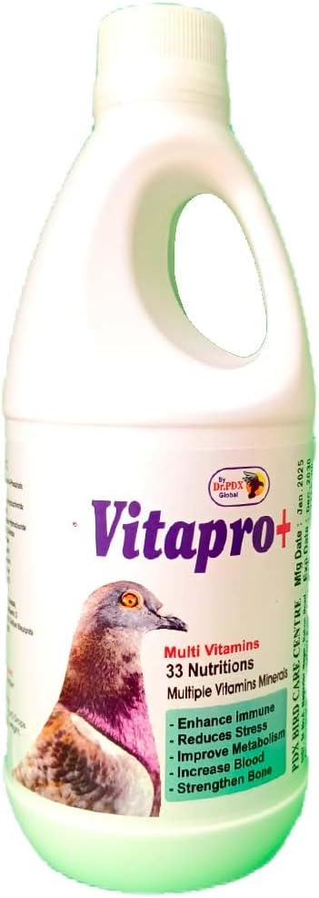 VITAPRO+ Pigeon Multi Vitamins Syrup || All The shortcomings of The Pigeon Will be Fulfilled || Pigeon Medicine || Kabutar Medicine || Bird Medicine || Dr PDX (250.ml)