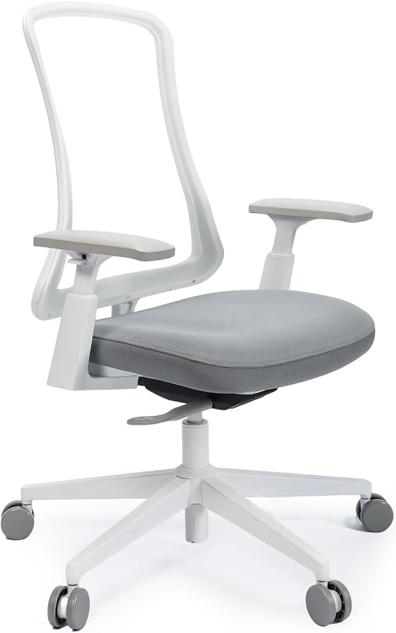 ProtoArc Flexer Ergonomic Office Chair - Sliding Seat Desk Chair, Breathable Mesh from Wintex, 55D Foam Cushion, 3-Position Recline Swivel Computer Chairs for Home, Office & Study - White