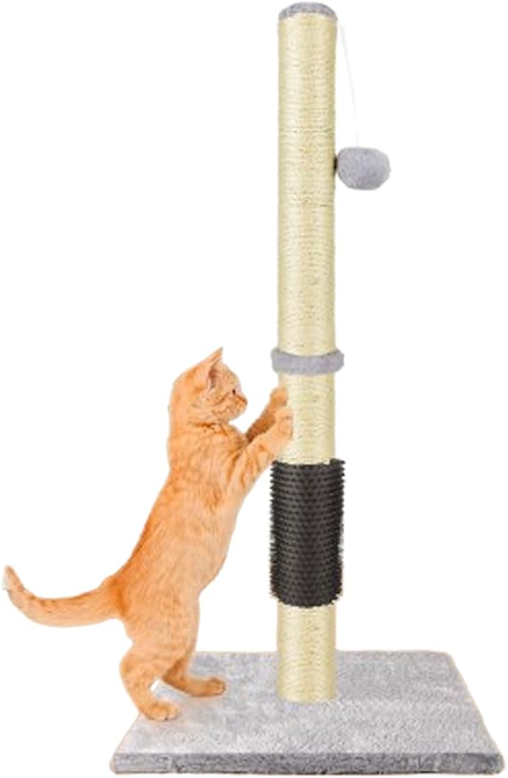 Cat Scratching Post & Activity Centre with Hanging Toy, Carpet Covered Heavy Base, 80cmTall Sisal Climbing Tree Sisal Claw Scratcher Tower for Indoor Kittens,Adult Pets, Furniture Protector & Play Toy