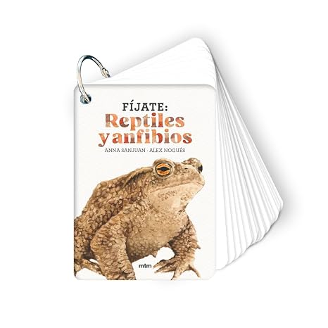 Fíjate: reptiles y anfibios: Pequeña guía para iniciarse en la observación de la naturaleza.