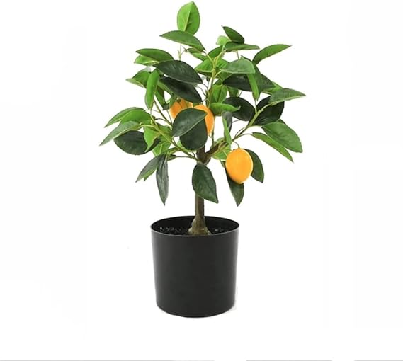 Artificial Trees, Artificial Bonsai Trees, Artificial Plastic Potted Plants, Beautiful Faux Lemon Trees, Plant Decorations, Artificial Trees for Home Decoration