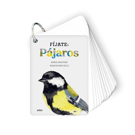 Fíjate pájaros