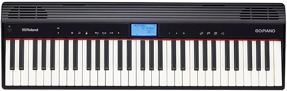 Roland GO-61P 61 Keyboard Genuine Case Set Roland