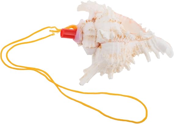 Large Natural Conch Shell Decorative Noise Maker with Pleasant Sound