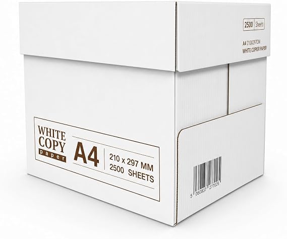 Multi-Purpose Printer Paper, 2500 Sheets, White