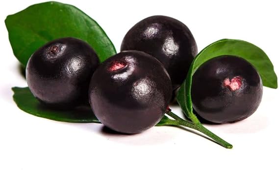 Acai fruit pulp - frozen - packed in 100g sachets - expertly sourced by My Exotic Fruit (2 x 100g)