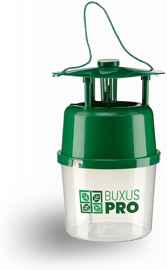 BuxTrap – Refillable Box Tree Moth Trap with 4 Pheromone Lures – Effective Protection for Buxus Plants & Gardens