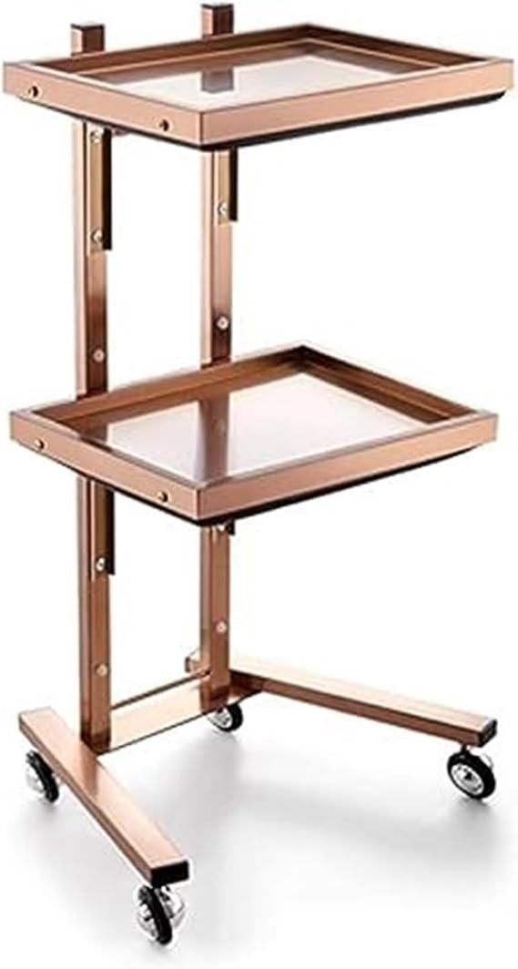 Araba, Tekerlekler Üzerinde 2 Katmanlı Katlanabilir Yardımcı Araba, Salon Spa Kuaför Dövme Tıbbi Diş için Katlanabilir Haddeleme Depolama Standı