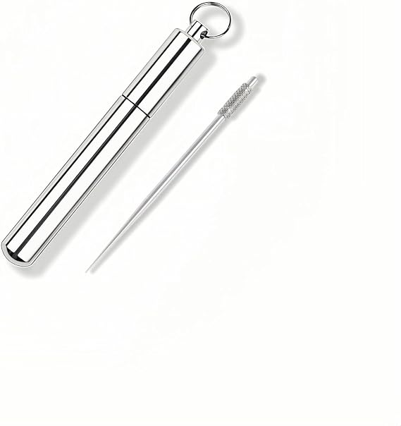 4PCS Titanium Toothpick Set with Stainless Steel Case, Portable Keychain Reusable Metal Toothpicks for Outdoor Camping, Picnic, Fruit Picking, Christmas Gift (Silver)