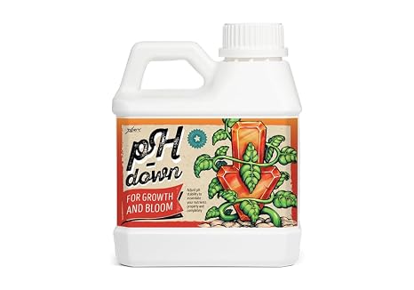 Ph Down 1L