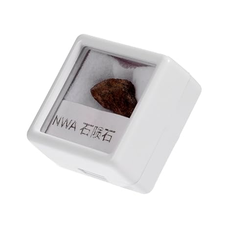 Olive Meteorite Specimen Stone Display for Teaching and Decor