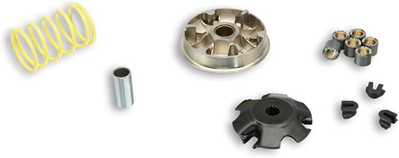 MALOSSI MULTIVAR 2000 VARIATOR for Speedfight, Trekker, Elyseo, Vivacity 100 (BJ. 9/99-), Weight: 19x15,5 mm – 11g Cat Models 50