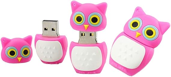 64GB Owl Shape USB Flash Drives Pen Drive Memoria Flash Stick PenDrives USB Flash Disk Thumb Drive U Disk USB Drive USB 2.0 Pen Drive PenDrive (Pink)