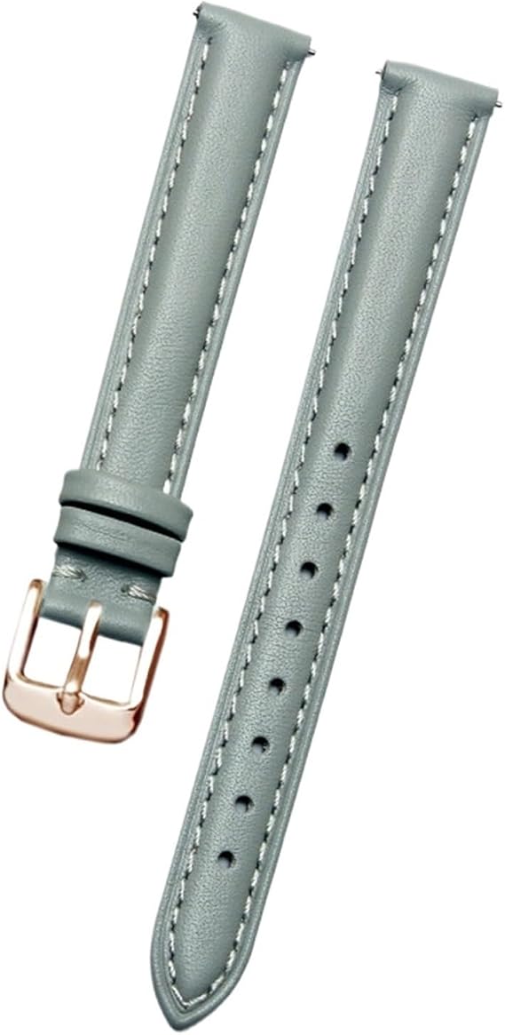 Quick Release Replacement Strap with Leather and Gold Buckle for Women and Men
