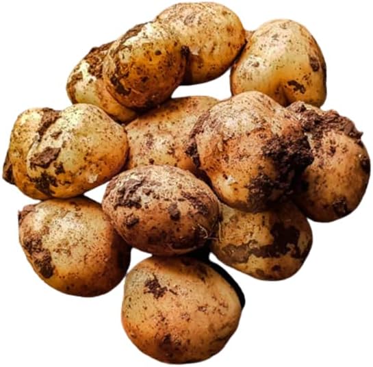 Cyprus Potatoes || 10KG || £36.99 || (10KG)