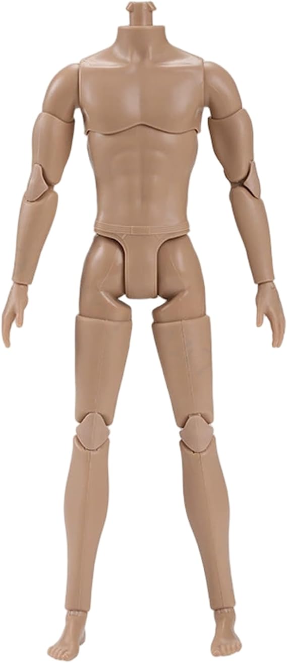 1/6 Scale Action Figure, Multi Jointed Movable Male Muscular Action Figure Body for Display Doll Collection, Medium