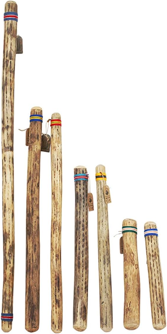 Cactus Rainstick, Chilean Cactus Rainstick Musical Instrument, Handcrafted Rain Stick Shaker, Traditional Chilean Sound, Classroom World Music, for Sound Therapy, Yoga Meditation