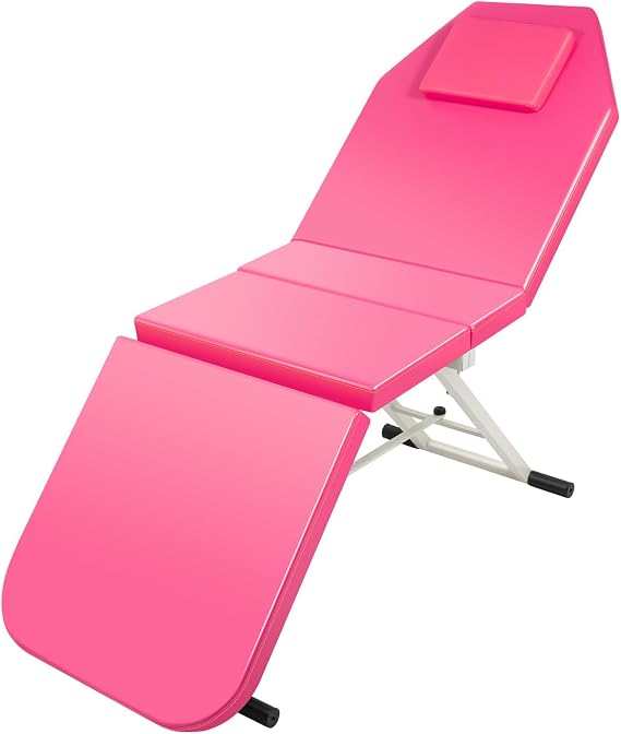 Portable Massage Bed with Adjustable Backrest and Tail, 2 Section Physiotherapy Bed with Pillow, Foldable Spa Tables with Face Cradle for Home and Professional Use