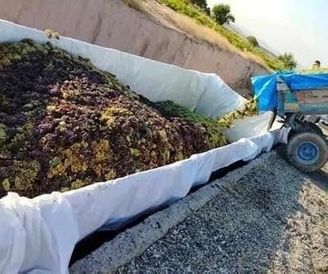 Ekoform 140gr Ebatlı Branda Mavi 15x20 m