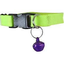 Cat Collar with Bell Kitten Collar