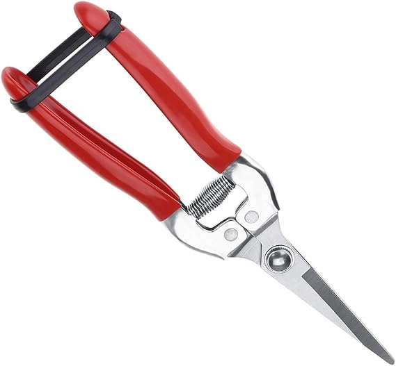 Pruning Shear, Straight Pruning Scissors, Stainless Steel Garden Secateurs, Small Multi-Purpose Garden Snips for Plants Flowers Fruits Vegetables(7.87inch)