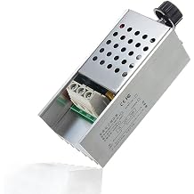 10000 watt Dimmer AC 220V 10000W