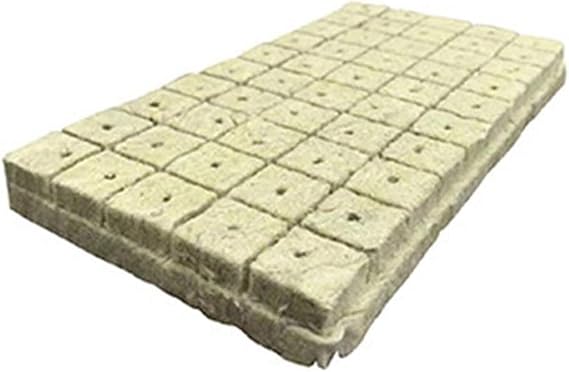 Propagation Cubes Pack Sized 42 72 or 100 Units for Professional and Home Gardeners Using Soilless Methods (100pcs 25x25x25mm)