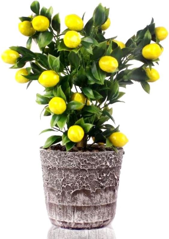 Yapay Çiçek Seramik Saksıda Limon Ağacı