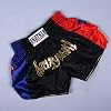 Anotherboxer Unisex Muay Thai Shorts - Perfect for MMA Kickboxing Fights - Breathable Material (L Black)