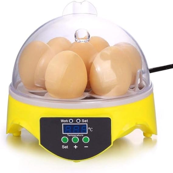 Automatic Hatching Egg 7 Eggs OK Incubator, Hatching Machine, Built-In Egg Detection Light, Increases Hatching Rate, Dedicated Bird Egg, Digital Display, Hatcher, For Home Use, Children's Education