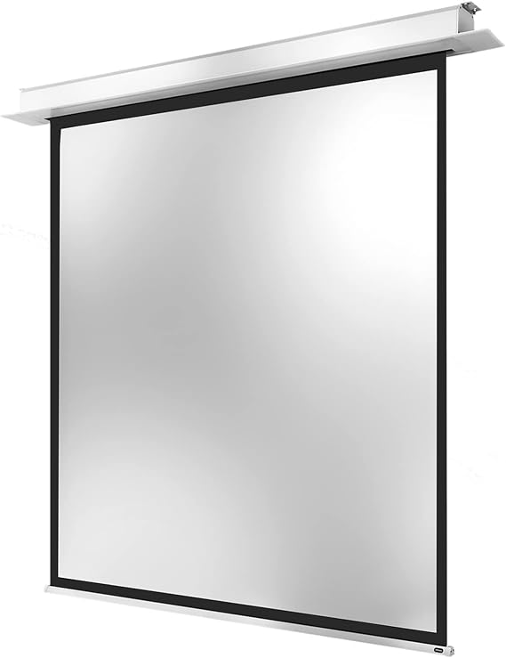 celexon Professional Plus In-Ceiling Motor Screen 135" | 240x240cm 1:1
