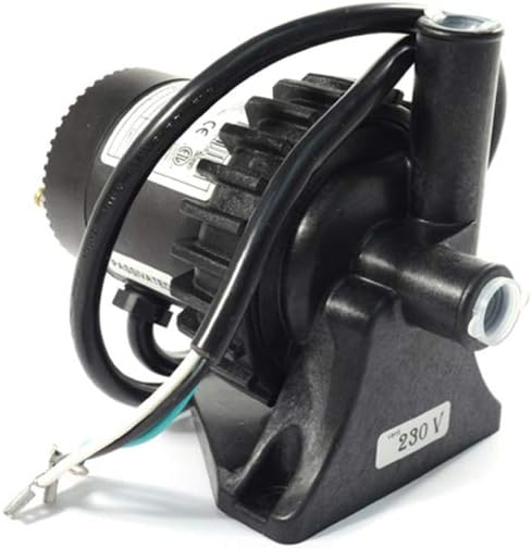 Laing Hot Spring SilentFlo E5 Hot Tub Spa Circulation Pump for Hot Spring and Tiger River Spa - Replaces The SilentFlo 5000 & 5002 Pumps