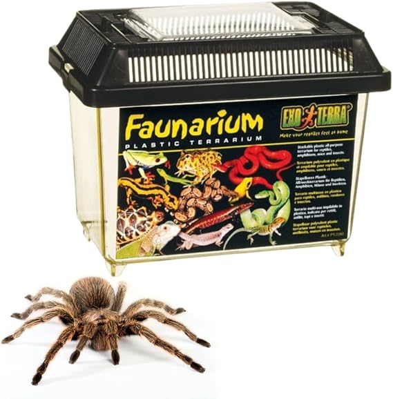 Exo Terra Standard Faunarium Small