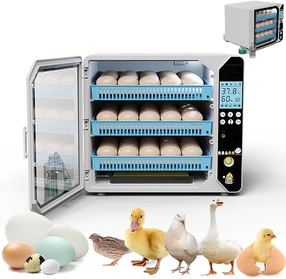 30/40/60/70/105 Eggs Incubator Fully Automatic | Auto Temperature Control Egg Incubator with 5 Modes | Eggs Turner | Adjustable Roller Tray | for Hatching Chicken Duck Goose 105egg