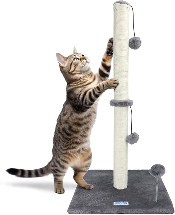 Nobleza Scratching Post for Cats, Height 80 cm, Scratching Post for Medium and Large Cats, Cat Tree with Hanging Toy Ball and Spring Pom Pom (Grey)