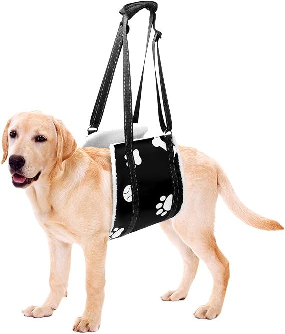Dog Lifting Harness - Adjustable Sling for Back Support, Rehab and Weak Rear Legs - Soft Hind Support for Senior, Injured, Disabled and After ACL Surgery (For Small Dogs)
