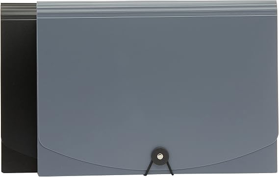 Amazon Basics A4 Accordion Folder, Pack of 2, Grey, Black/Grey