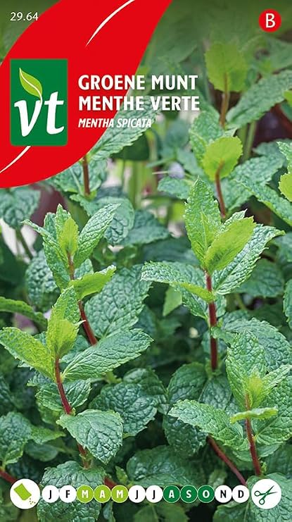 Peppermint Herb Seeds