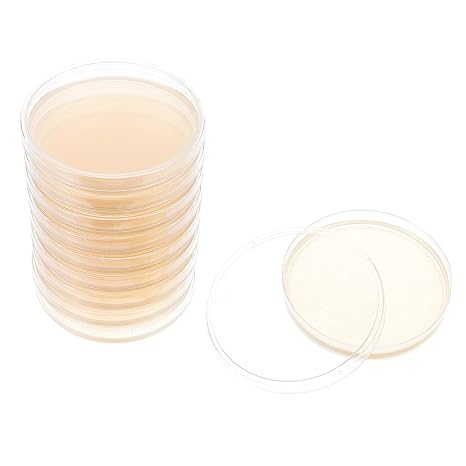 Scicalife Mushroom Kits 10pcs Scientific Tryptic Soy Agar with Lids General Growth Medium Petri Plates for The Cultivation Isolation and Identification of Yeasts and Molds 9cm Glass Petri Dish