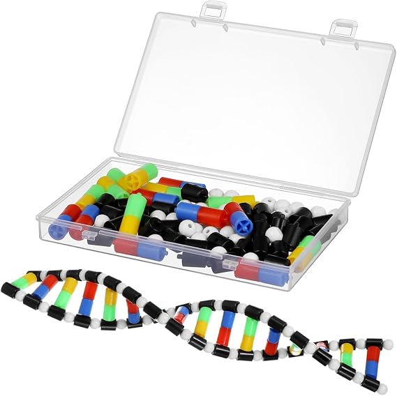 Toyvian Dna Model Double Helix Molecular Model Kit for Students Biology Teaching Aid Display Component for Science Class Science Education Toy for Classroom Learning