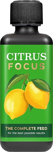 Citrus Focus Fertiliser Concentrate for Oranges and Lemons, 300ml