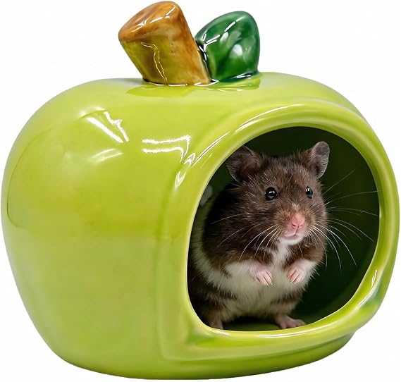 Apple Ceramic Hamster Hide, Hamster Hide, Ceramic Hamster House