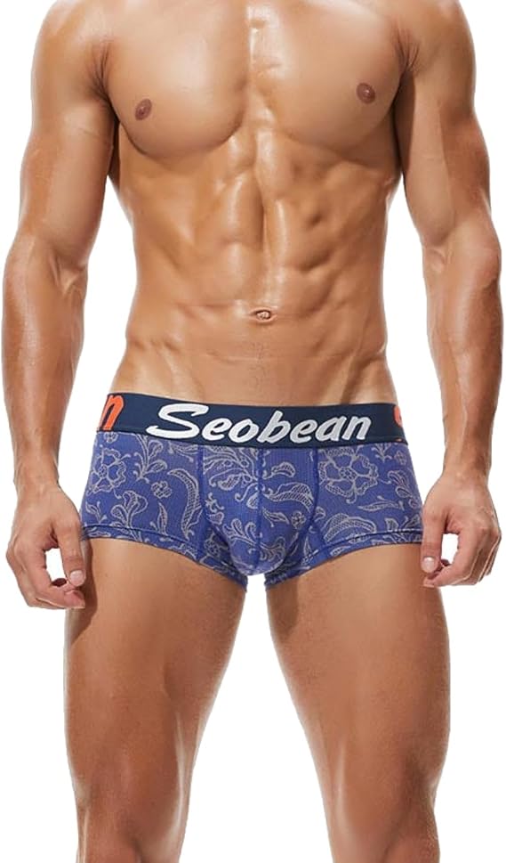 Low Rise Men's Underwear Men's Underwear Cotton Boxer Shorts Elastic Trunks Hipster Boxer Briefs Shorts Breathable