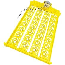Convenient and Effective Egg Incubator Tray for Automatic Turning of Small Bird Poultry Eggs