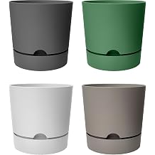 Drained Matte Plastic Flower Pot with 4 Begonia Pot Plates (Mixed, 9 Liters)