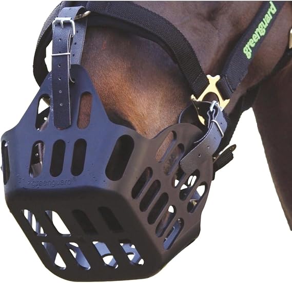Shires Greenguard Muzzle - Black